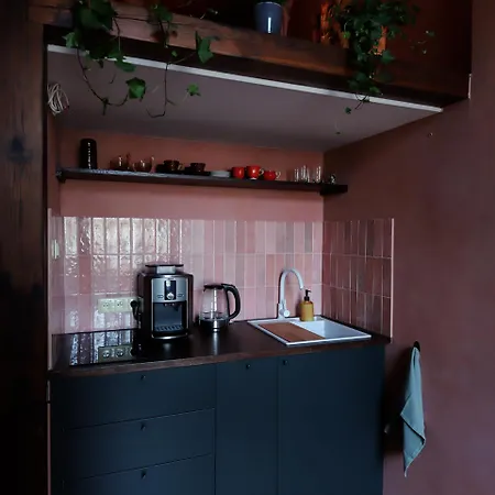 Apartament Rose & Thyme Artisan In Old Town Kraków